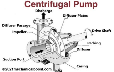 francesco di giorgio martini centrifugal pump|centrifugal pump function.